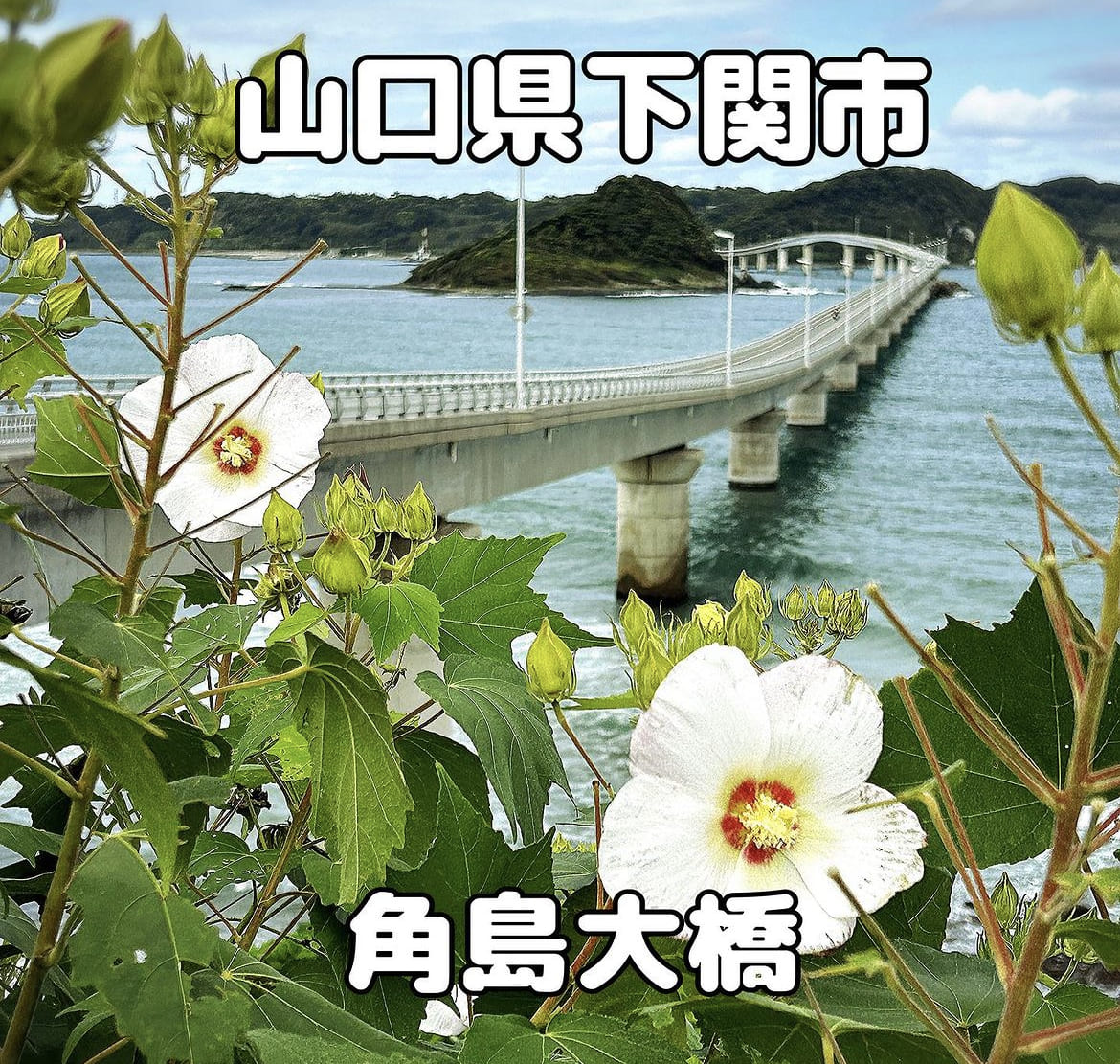 山口投稿271